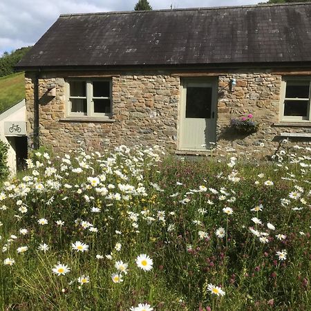Danygraig Cottage Кармартен Экстерьер фото