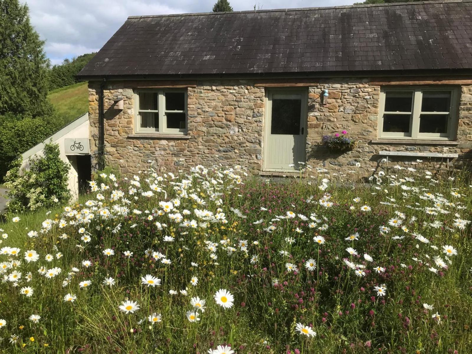 Danygraig Cottage Кармартен Экстерьер фото