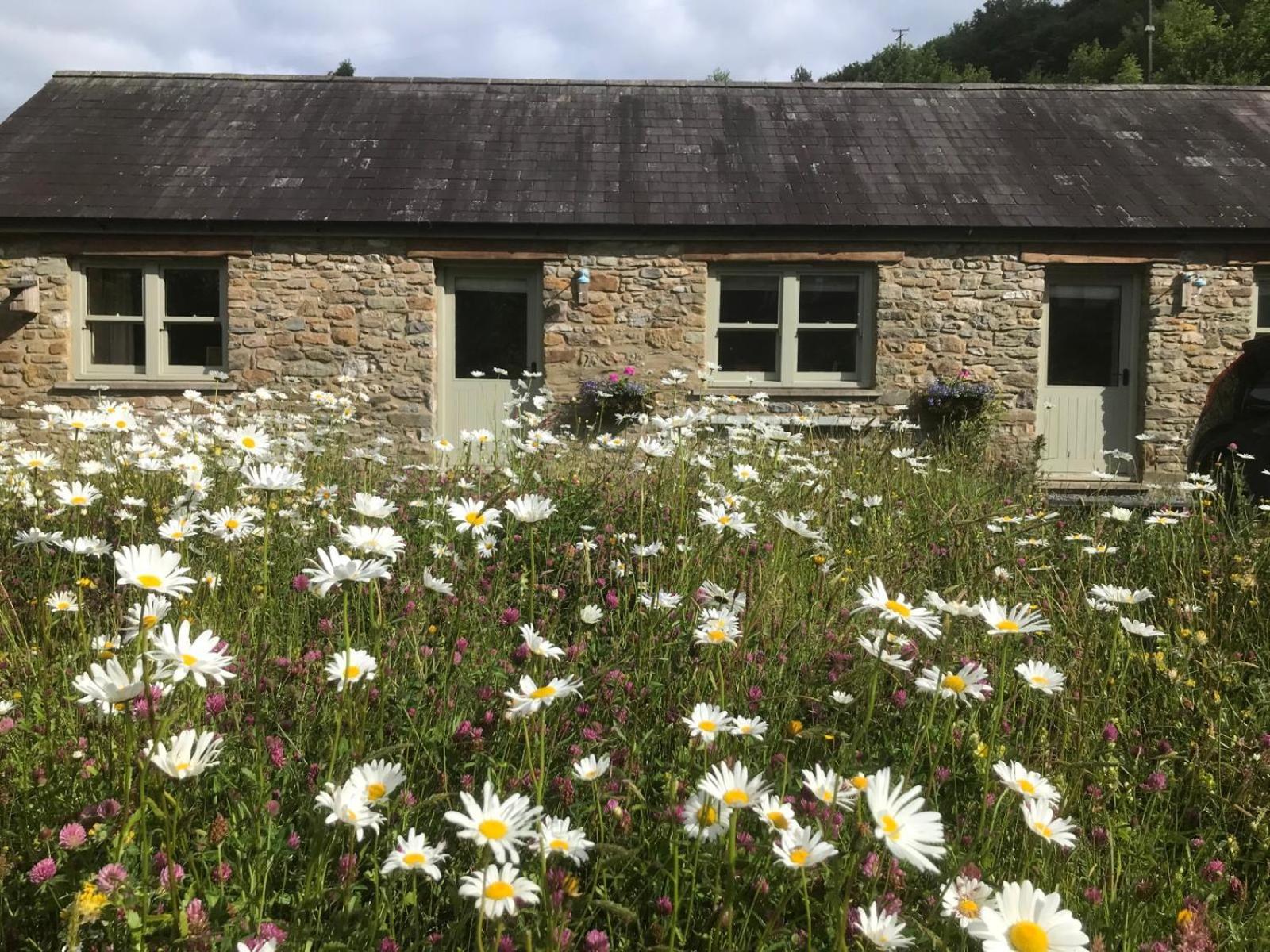 Danygraig Cottage Кармартен Экстерьер фото