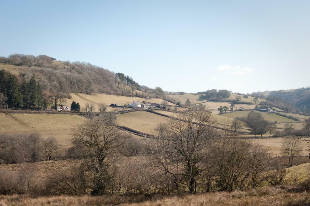 Danygraig Cottage Кармартен Экстерьер фото