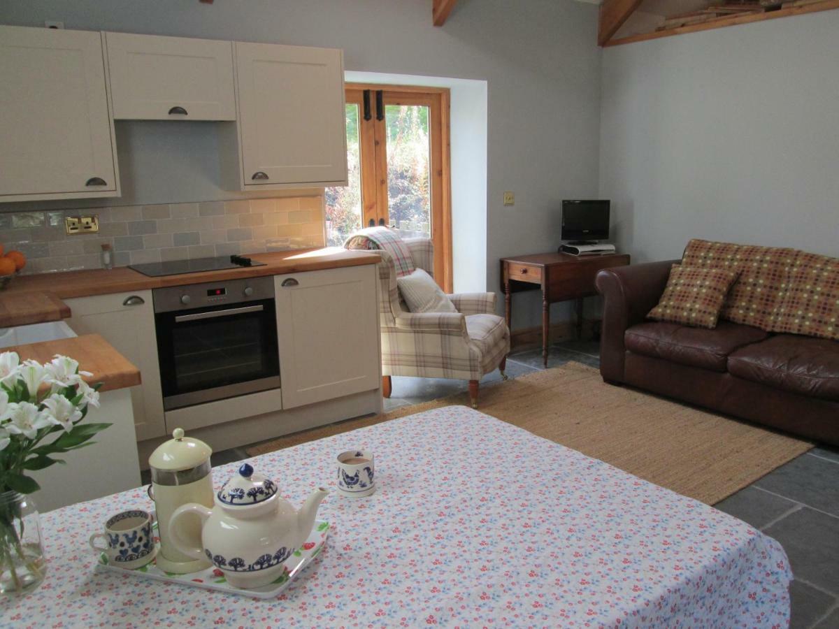 Danygraig Cottage Кармартен Экстерьер фото