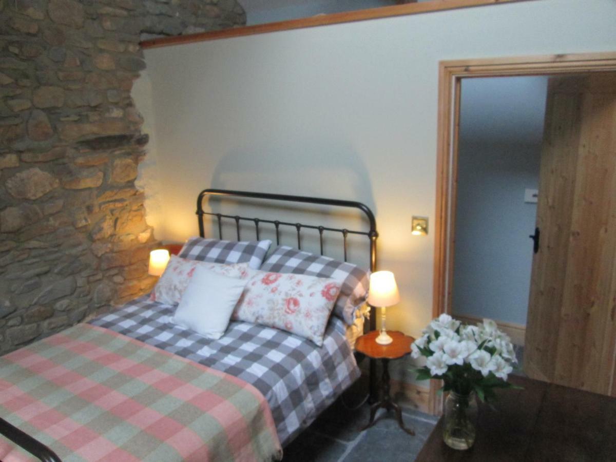 Danygraig Cottage Кармартен Экстерьер фото